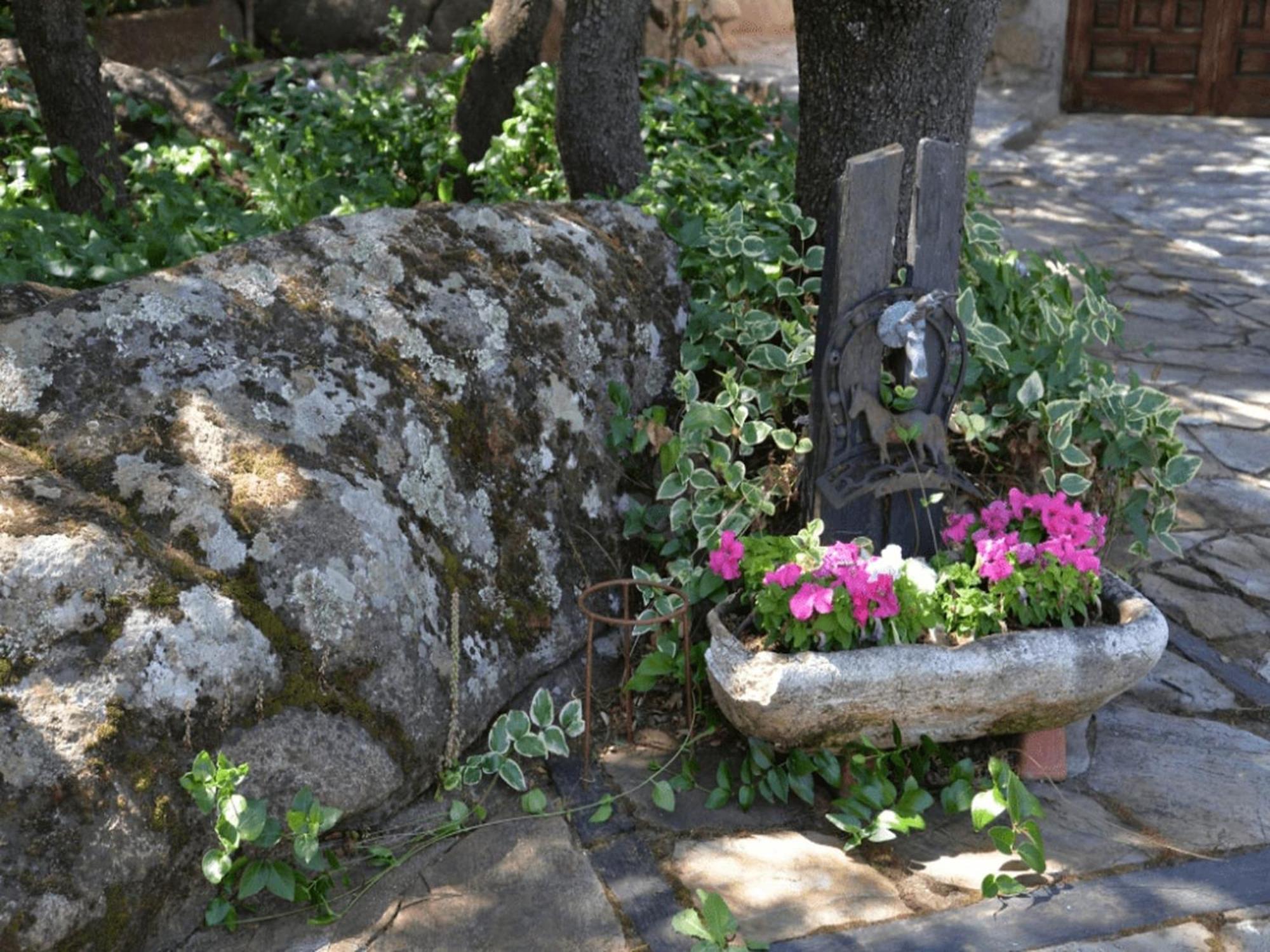 Rural Apartment With Spa And Common Areas Galapagar Dış mekan fotoğraf